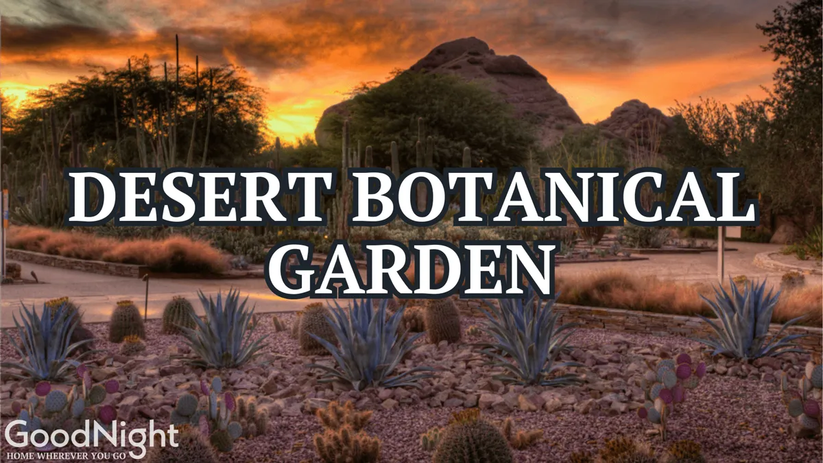 A tranquil desert landscape at sunset, with striking rock formations and a diverse array of desert plants. The scene captures the unique natural beauty of the area and offers opportunities for nature walks and peaceful reflection.