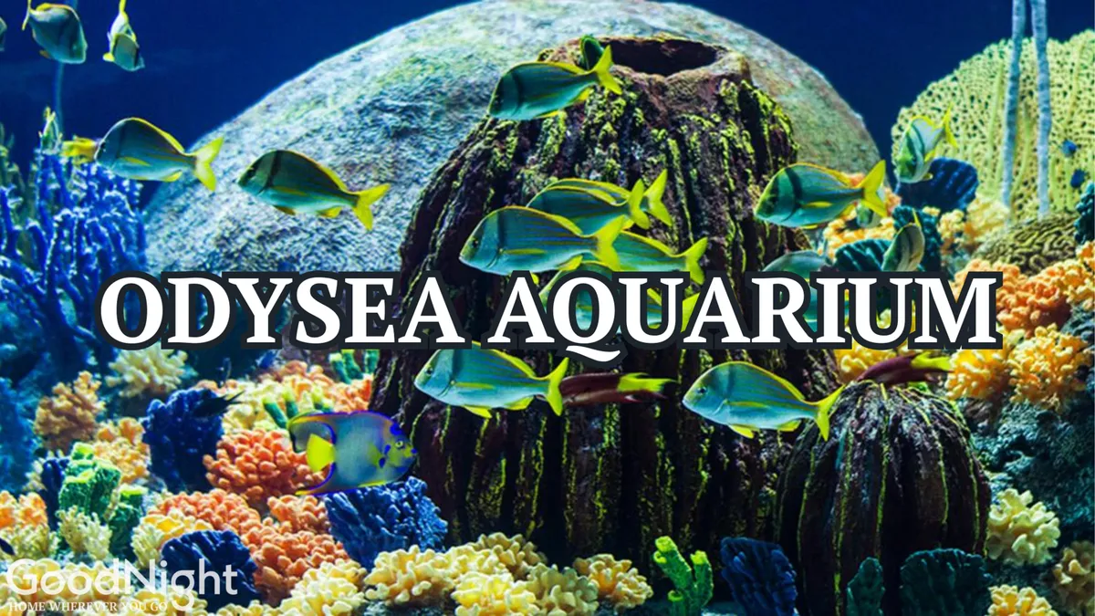 A colorful and engaging interior scene of a lively aquarium exhibit, featuring vibrant coral reefs and a school of fish swimming among aquatic plants. The image conveys an educational and interactive experience, ideal for sparking children's curiosity.
