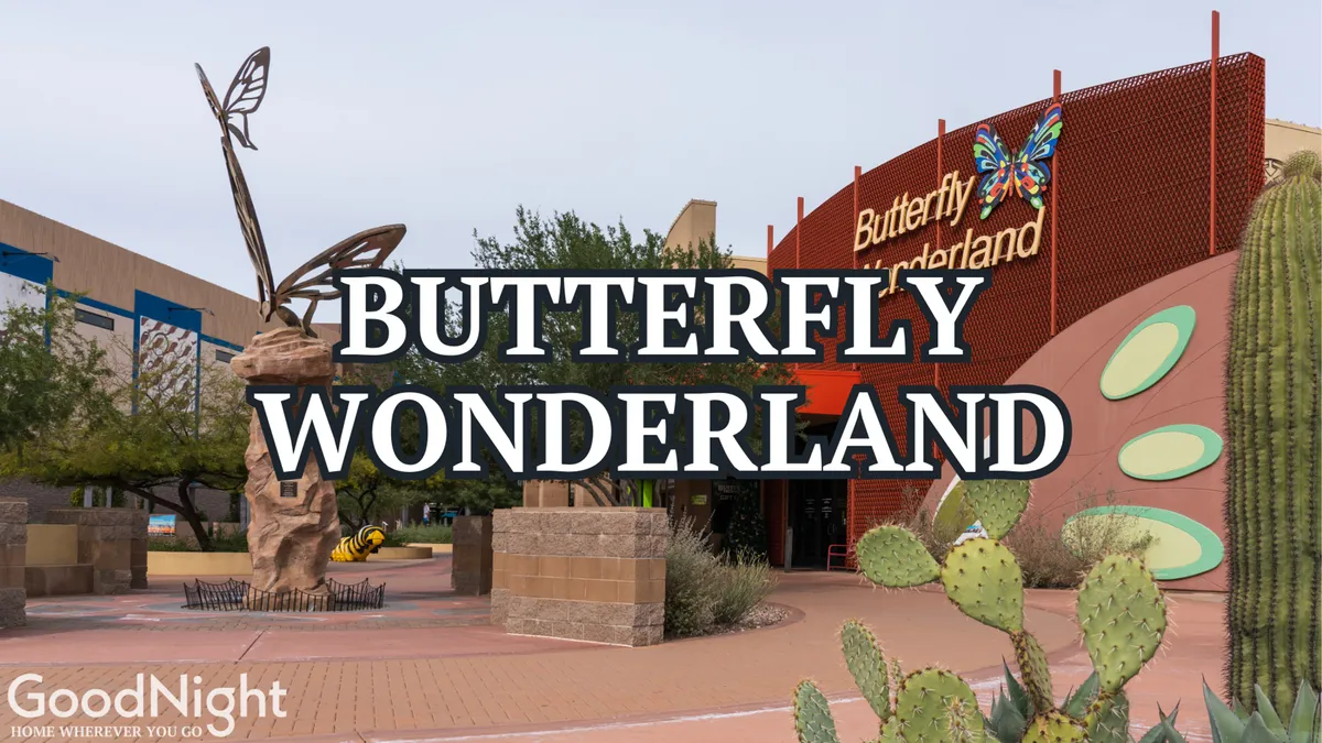 A bright exterior view of Butterfly Wonderland, showcasing a large, whimsical butterfly sculpture at the entrance, colorful signage, and surrounding desert landscaping. The playful and inviting aesthetic signals a fun, family-oriented destination.